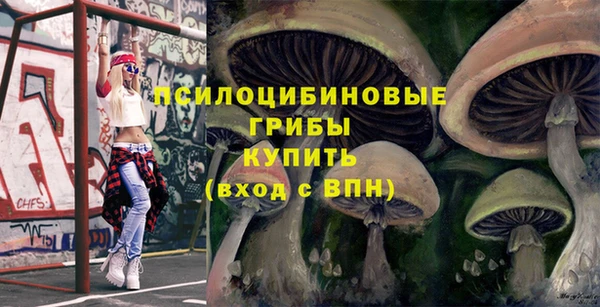 шишки Арсеньев