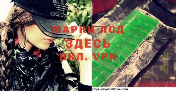 шишки Арсеньев