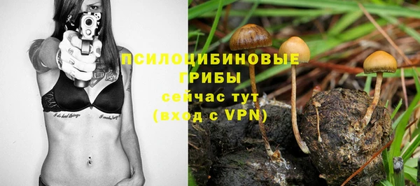 шишки Арсеньев