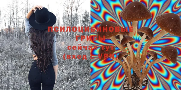 прущие крисы Армянск