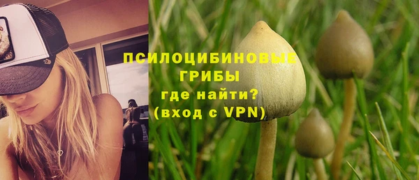 шишки Арсеньев